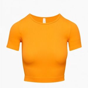 Aritzia The group by Babaton flow seamless T-shirt size Medium